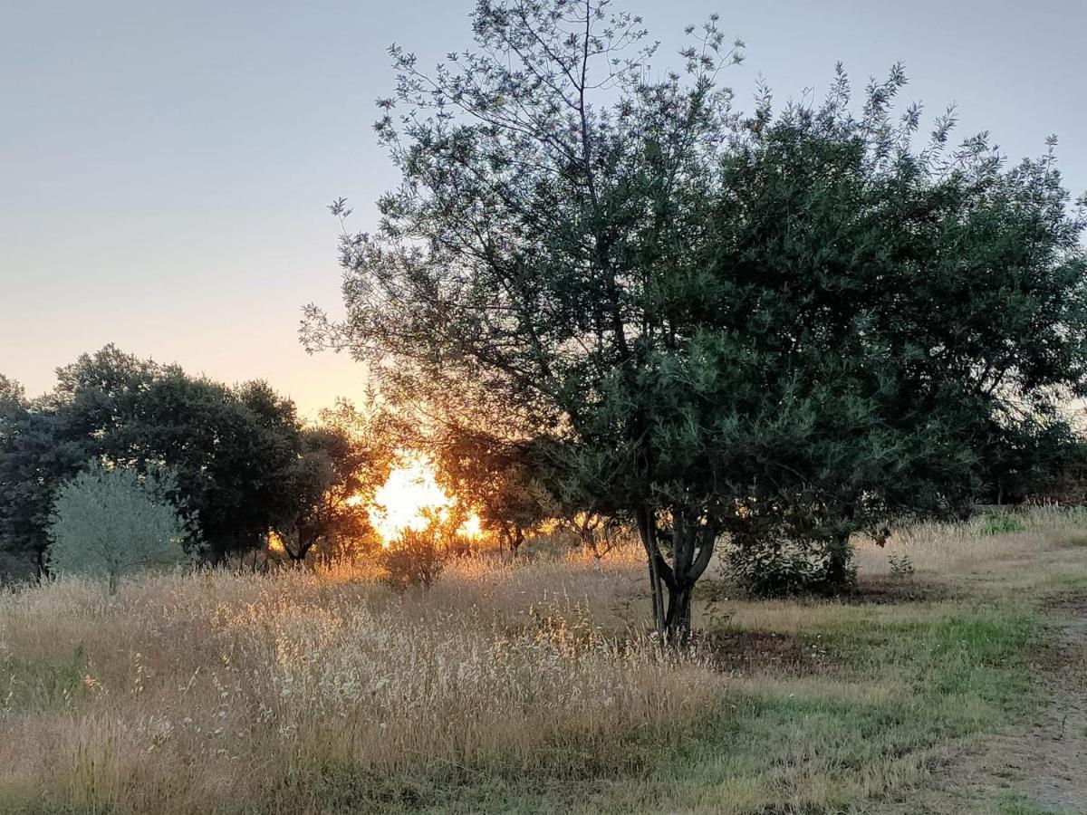 Casa Rural Camino Del Alentejo Villa La Codosera Kültér fotó