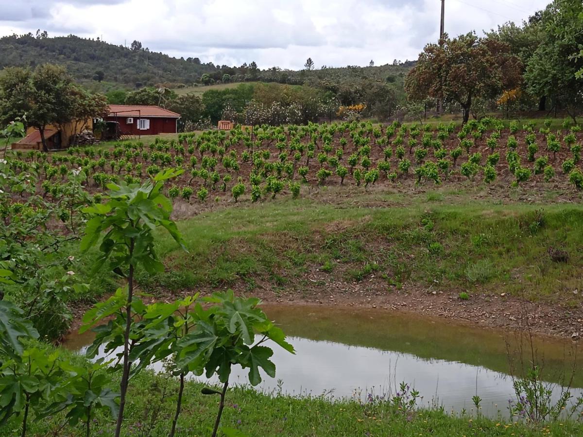 Casa Rural Camino Del Alentejo Villa La Codosera Kültér fotó