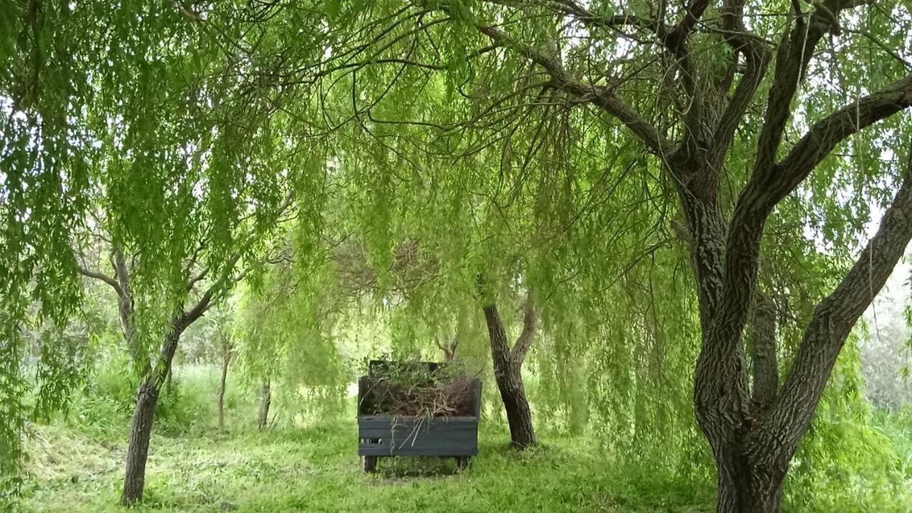 Casa Rural Camino Del Alentejo Villa La Codosera Kültér fotó