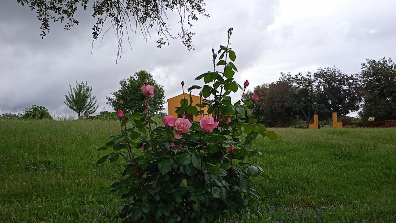 Casa Rural Camino Del Alentejo Villa La Codosera Kültér fotó