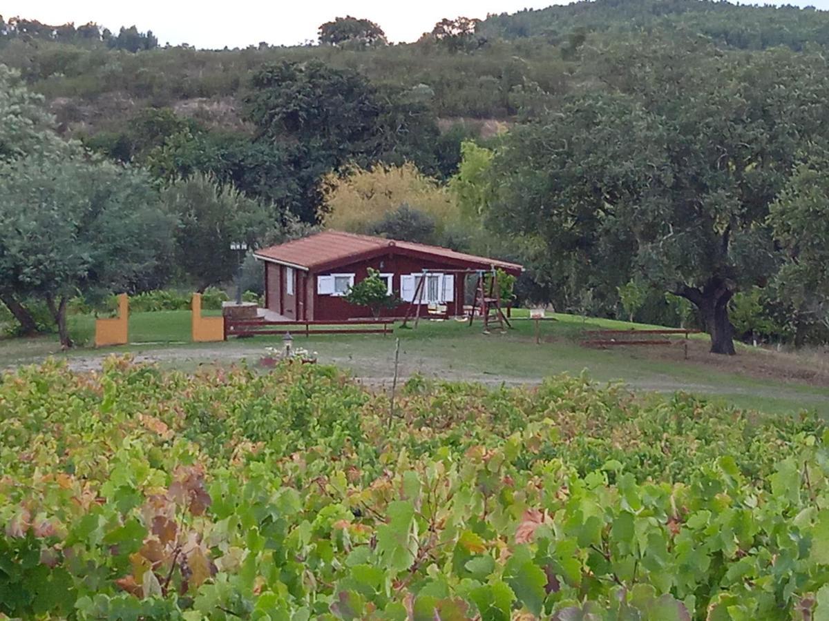 Casa Rural Camino Del Alentejo Villa La Codosera Kültér fotó