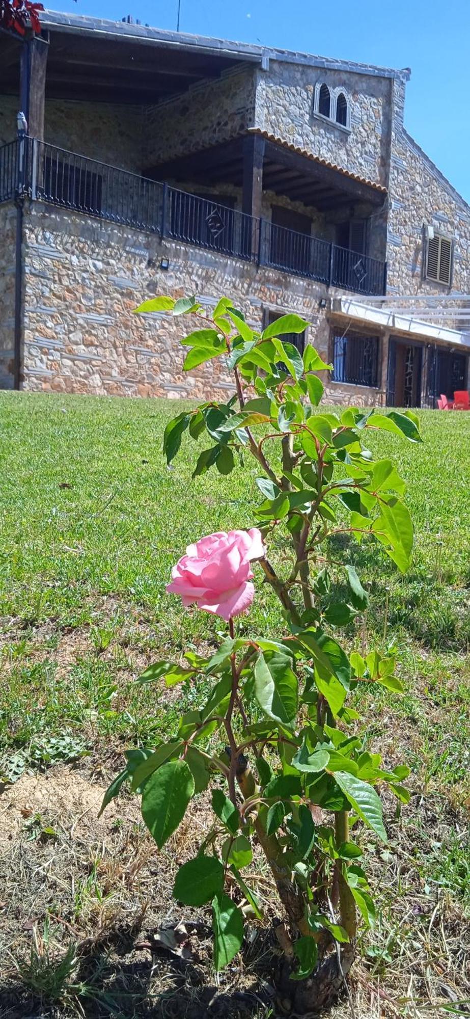 Casa Rural Camino Del Alentejo Villa La Codosera Kültér fotó