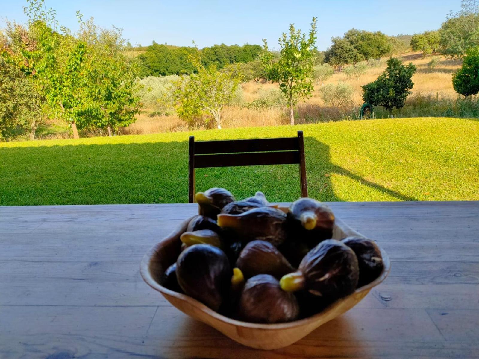 Casa Rural Camino Del Alentejo Villa La Codosera Szoba fotó